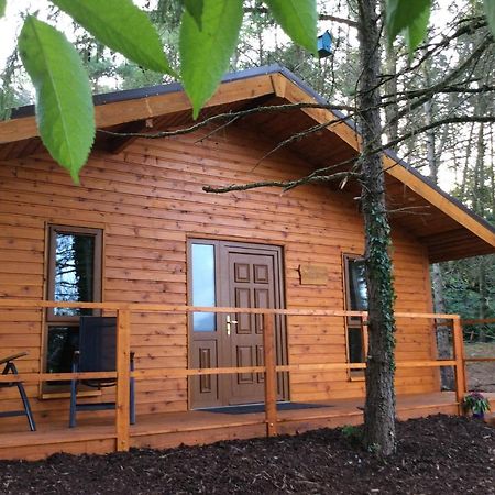 Butterfly Cabin Limerick Junction المظهر الخارجي الصورة
