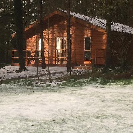 Butterfly Cabin Limerick Junction المظهر الخارجي الصورة