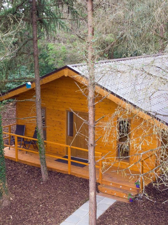 Butterfly Cabin Limerick Junction المظهر الخارجي الصورة