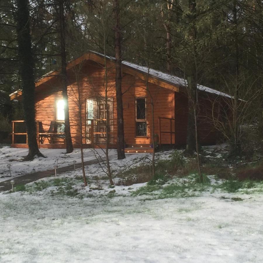 Butterfly Cabin Limerick Junction المظهر الخارجي الصورة